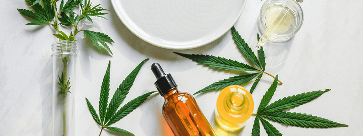 The Future of Medicinal Cannabis